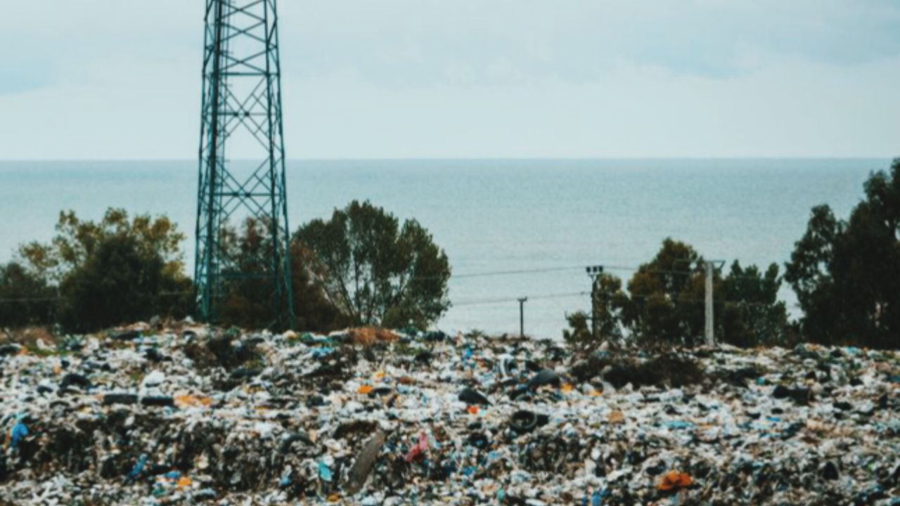 در محل دپوی زباله در پارکینگ ۸و۹ بابلسر