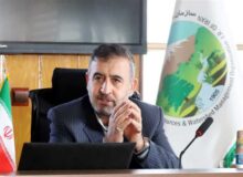 ضارب جنگلبان نوری در کمتر از ۲۴ ساعت دستگیر شدند.