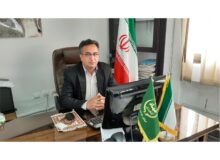 رونق کشاورزی در محمودآباد؛ برداشت سالانه ۱۷۱ هزار تن محصول زراعی و باغی