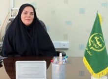 خزانه گیری و بذر باشی حدود ۱۰ هزار هکتار شالیزار در قائم شهر