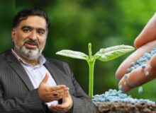 خبر خوش برای کشاورزان مازندرانی، روزانه ۵۰۰ تن کود وارد استان می شود