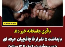 باقری جامخانه خبر داد: بازداشت ۵ نفر از قاچاقچیان حرفه ای چوب بهشهر در کمتر از ۱۲ ساعت