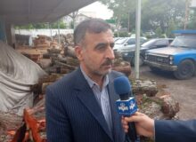 دستگیری متهم حرفه‌ای قاچاق چوب در آمل