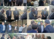 پایش هوشمند سطح زیر کشت؛ گام بلند مازندران به سوی کشاورزی دقیق با فناوری‌های پیشرفته و هوش مصنوعی