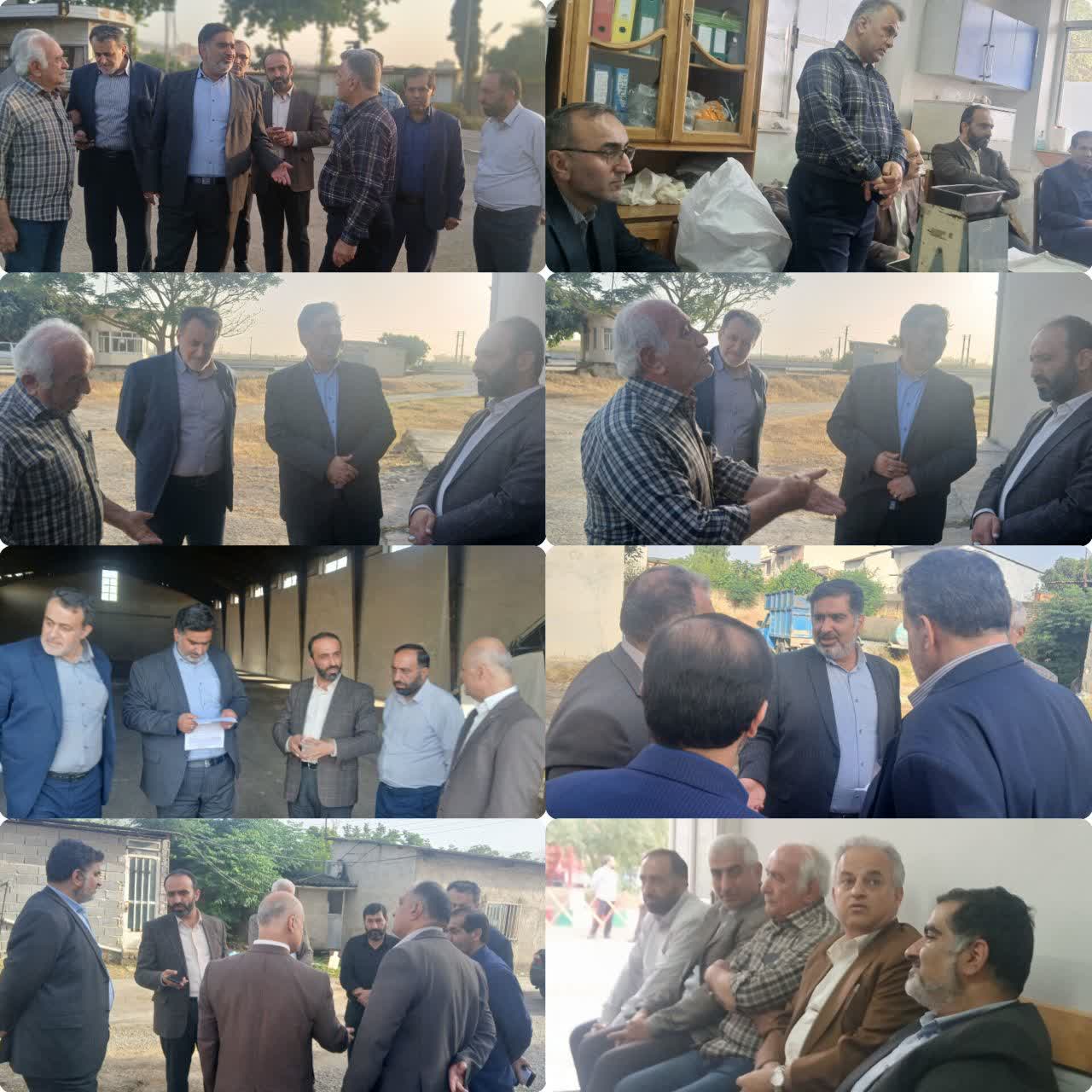 پایش هوشمند سطح زیر کشت؛ گام بلند مازندران به سوی کشاورزی دقیق با فناوریهای پیشرفته و هوش مصنوعی