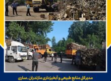 کشف و ضبط حدود ۲۰۰ تن چوب آلات قاچاق از یک شرکت تولیدی صنایع سلولزی در مازندران