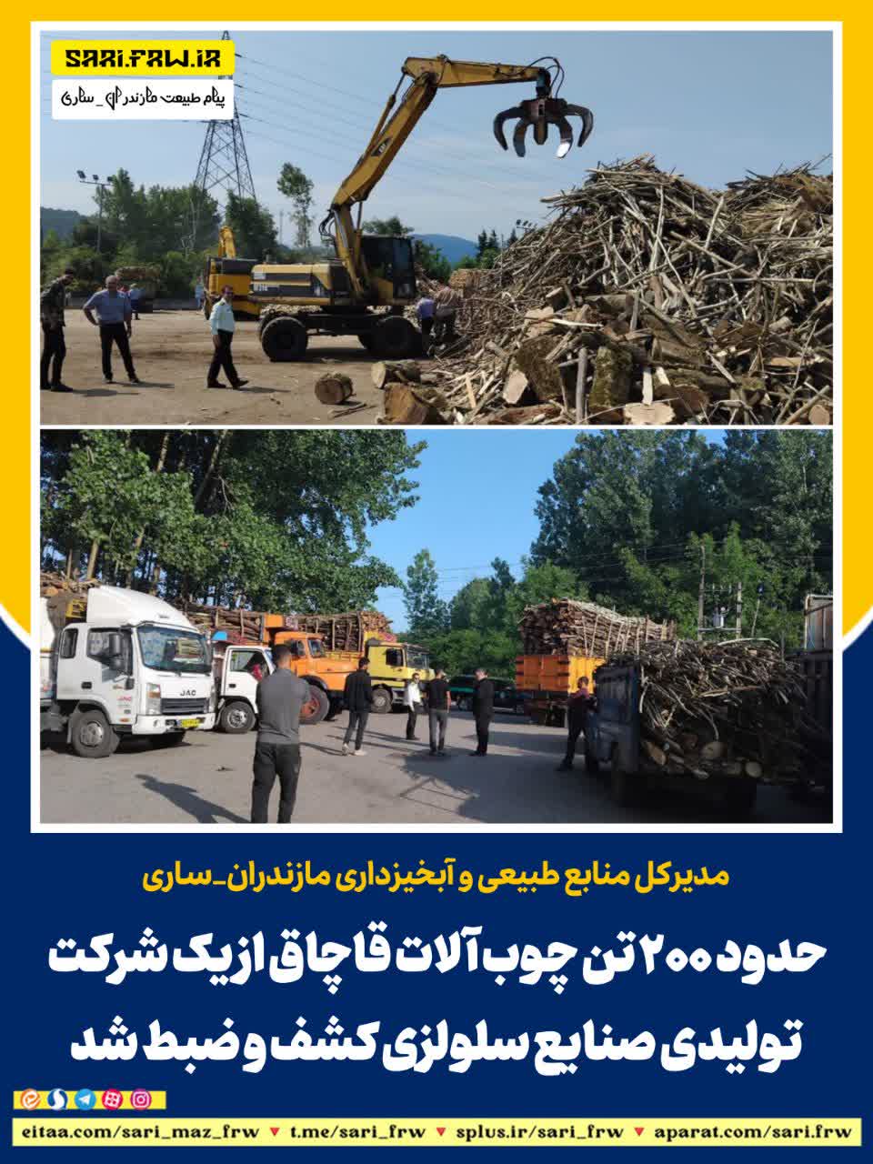 کشف و ضبط حدود ۲۰۰ تن چوب آلات قاچاق از یک شرکت تولیدی صنایع سلولزی در مازندران