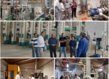 جهش تولید در صنایع تبدیلی کشاورزی آمل با صدور ۸ پروانه بهره‌برداری جدید