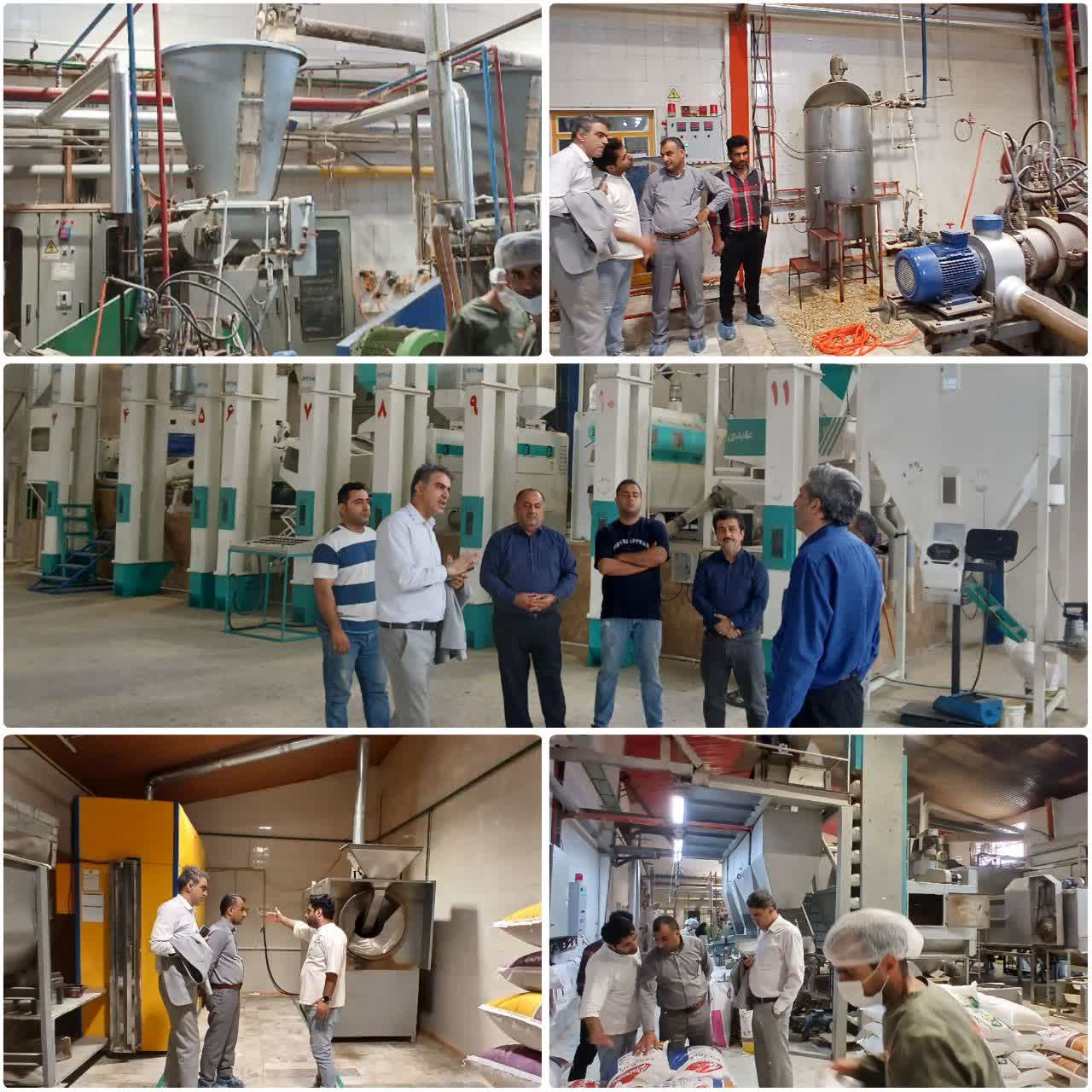 جهش تولید در صنایع تبدیلی کشاورزی آمل با صدور ۸ پروانه بهره‌برداری جدید