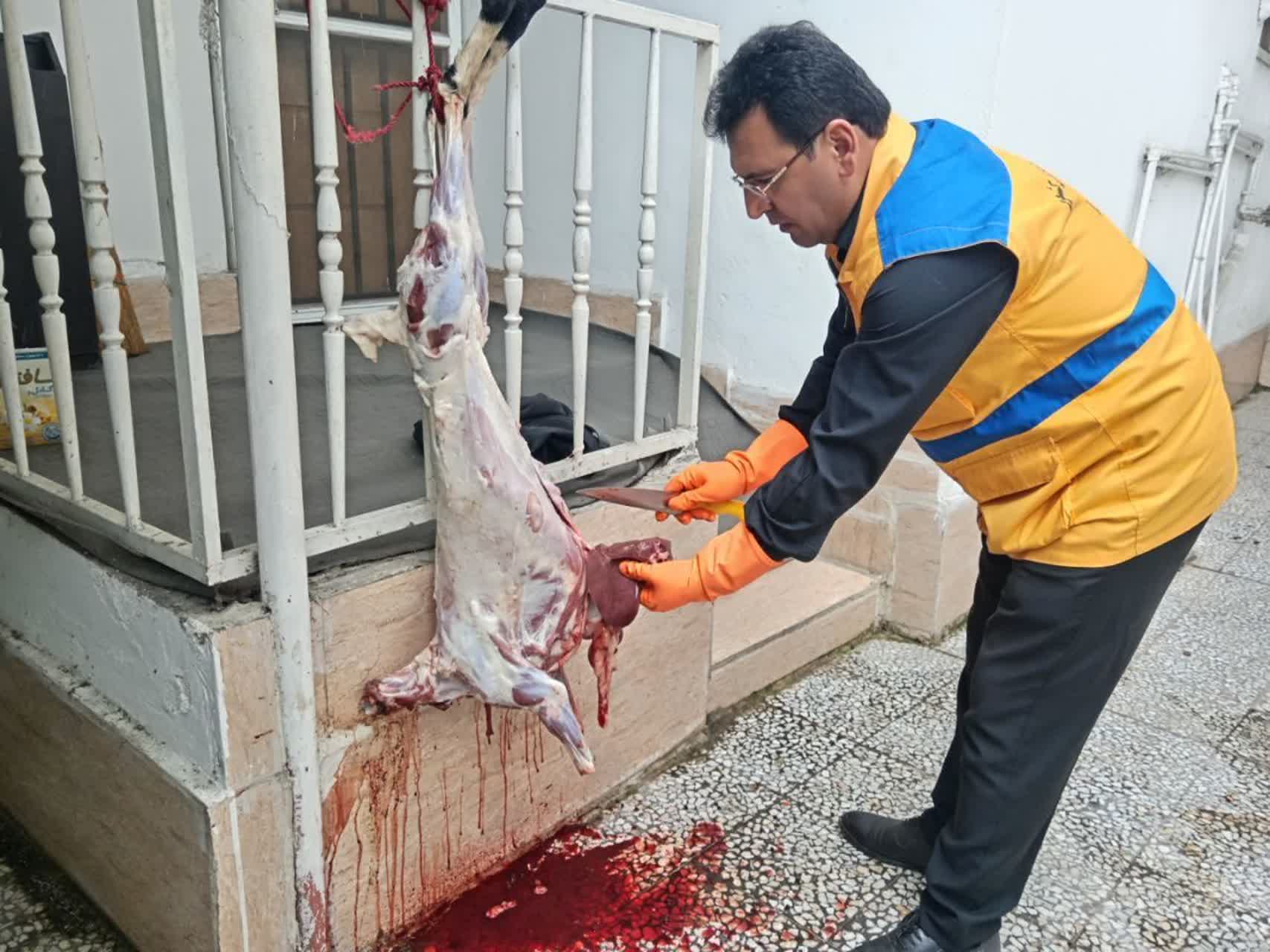 تایید سلامت ۲ هزار ۷۳۱ راس و لاشه گوشت توسط دامپزشکی مازندران