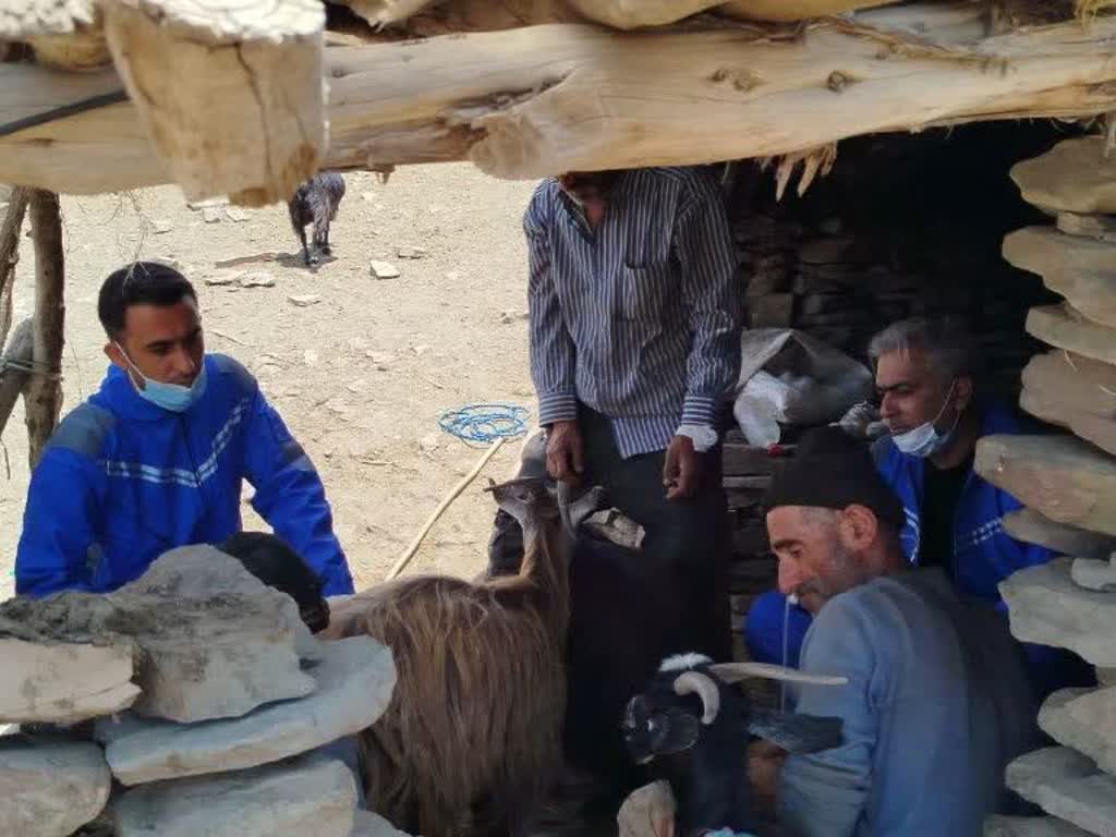 رزمایش جهاد دامپزشکی شهدای اقتدار در روستاهای منطقه بلده شهرستان نور