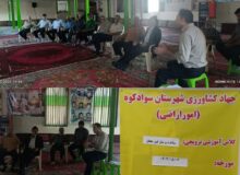 هشدار جهاد کشاورزی سوادکوه نسبت به تغییر کاربری اراضی کشاورزی؛ سودجویان در کمین سرمایه ملی