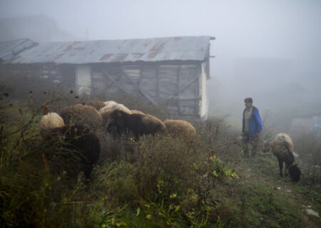 تدابیر فوری برای دامداران، پرورشدهندگان طیور، زنبورداران و آبزیپروران در پی هشدار هواشناسی