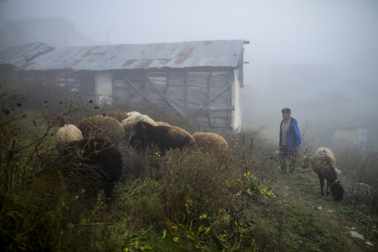 تدابیر فوری برای دامداران، پرورشدهندگان طیور، زنبورداران و آبزیپروران در پی هشدار هواشناسی