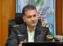 قاچاقچیان چوب در دام دوربین‌های تله‌ای/رفع تصرف ۳۰۰۰متر از اراضی جنگلی قائمشهر