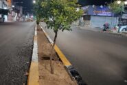 تداوم نهضت آسفالت و نوسازی روشنایی شهری با رویکرد صرفه‌جویی انرژی