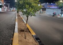 تداوم نهضت آسفالت و نوسازی روشنایی شهری با رویکرد صرفه‌جویی انرژی
